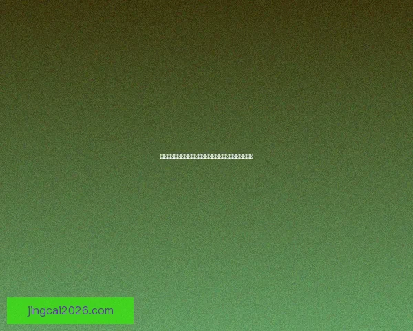 世界杯投注技巧全解析与实用攻略指南全面掌握胜率提升秘籍