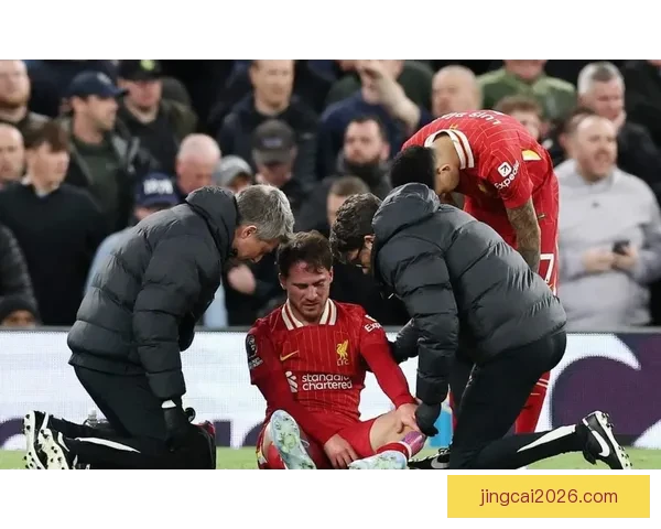 詹姆斯塔尔科夫斯基引领埃弗顿走向辉煌赢得球迷热爱