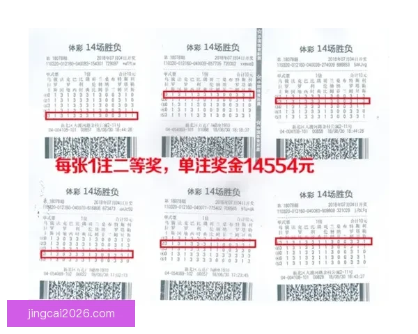 世界杯竞猜赔率平台全面解析助力精准投注策略指南